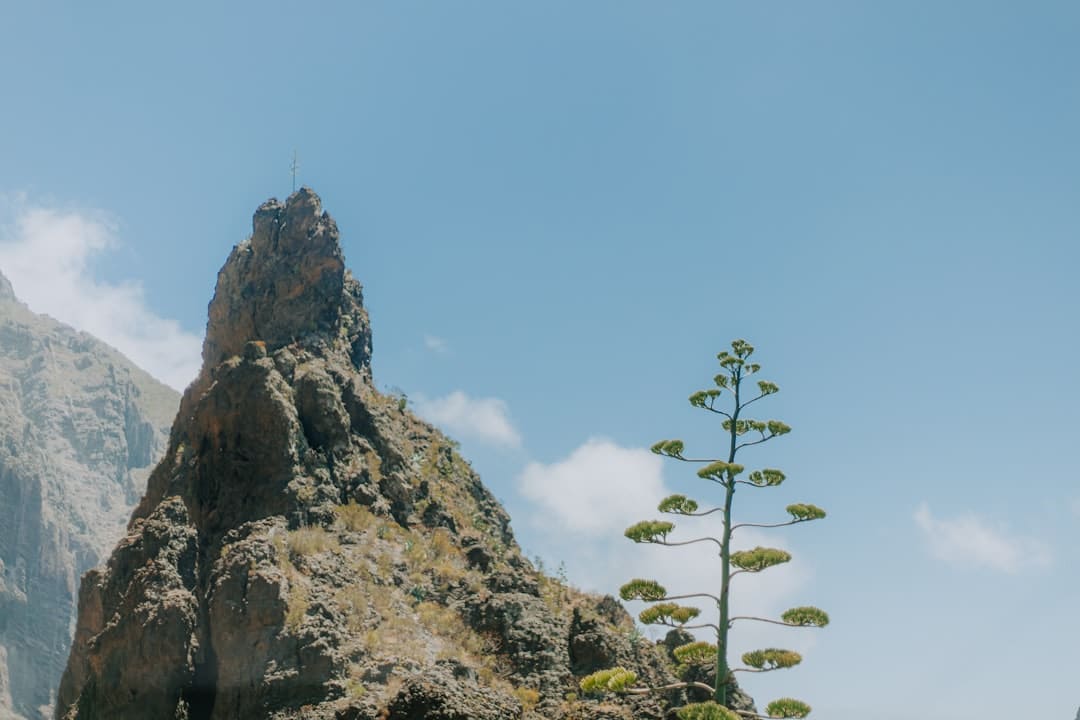 孙艺珍封闭交际渠道小号 疑因萧瑟童星风闻导致